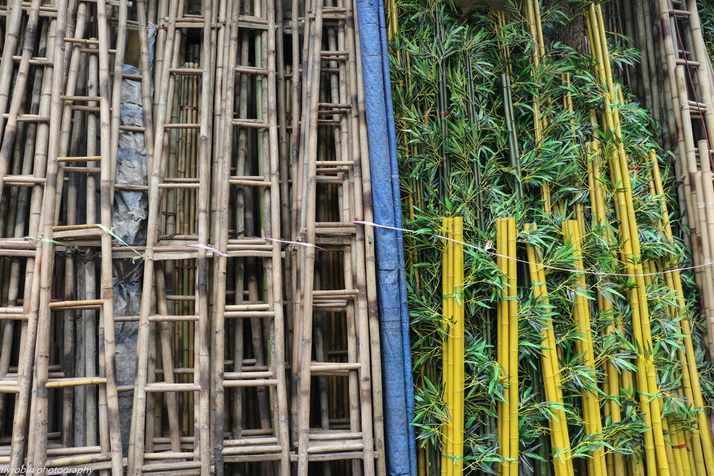 Bamboo patterns by flyrobin