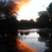Orange sky reflection by steveandkerry