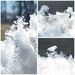 Snowplow Art collage by loweygrace