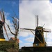 Windmill : `` de Jonge Johannes``  Young John by pyrrhula