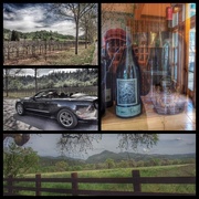 23rd Mar 2015 - Wine Country