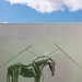 Cloud Horse by edorreandresen