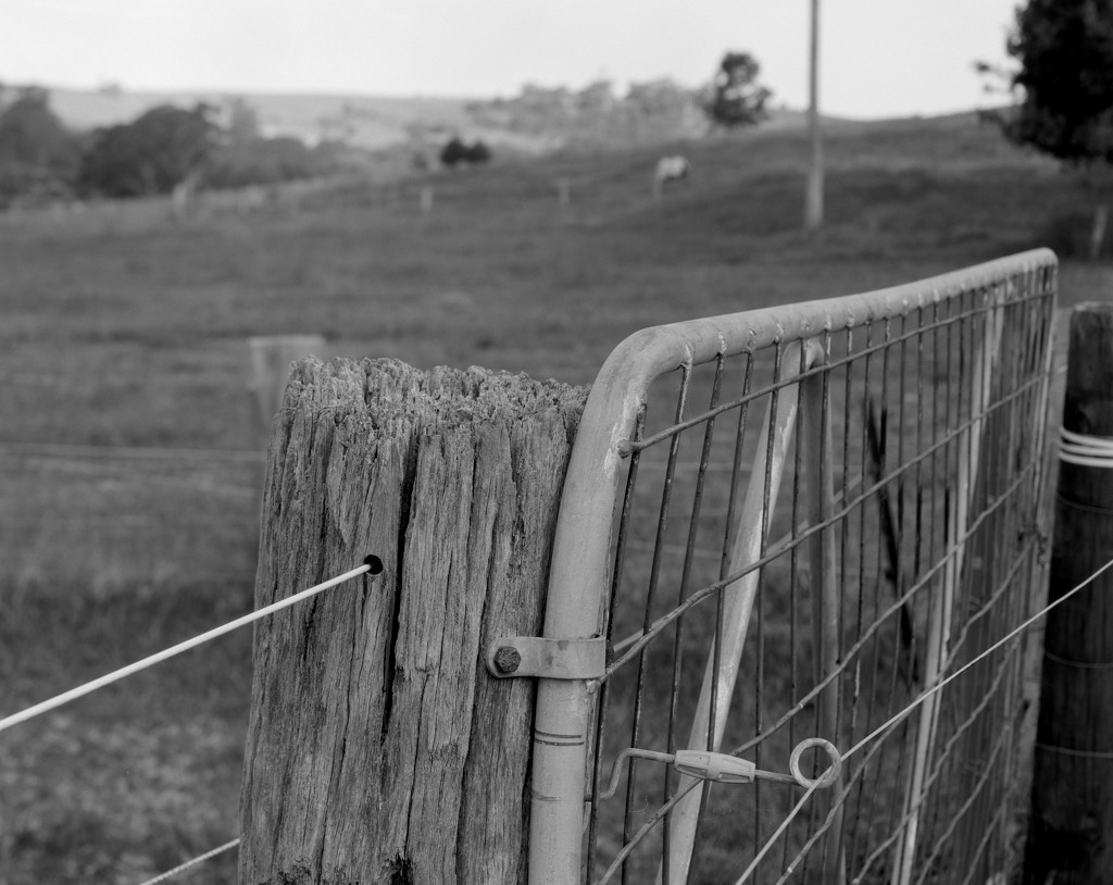 Post and gate by peterdegraaff