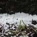 Hailstones by roachling