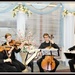 The Kuttner String Quartet by essiesue