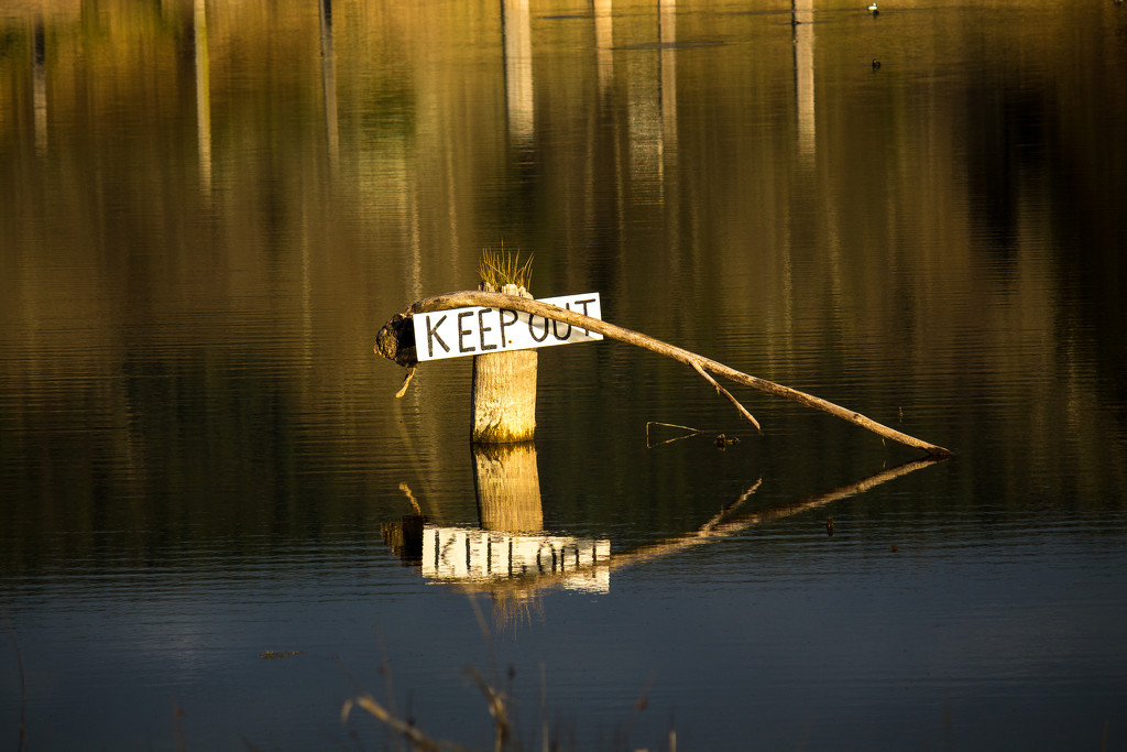 Keep Out by jankoos