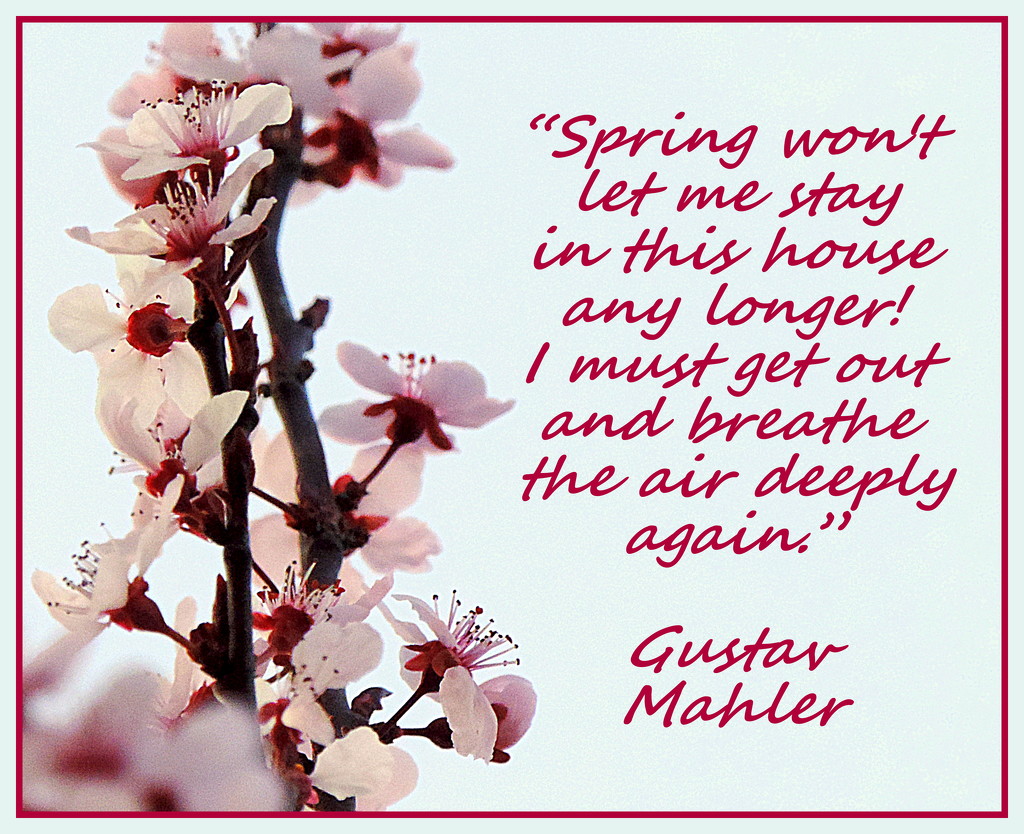 Welcome to Spring! by homeschoolmom