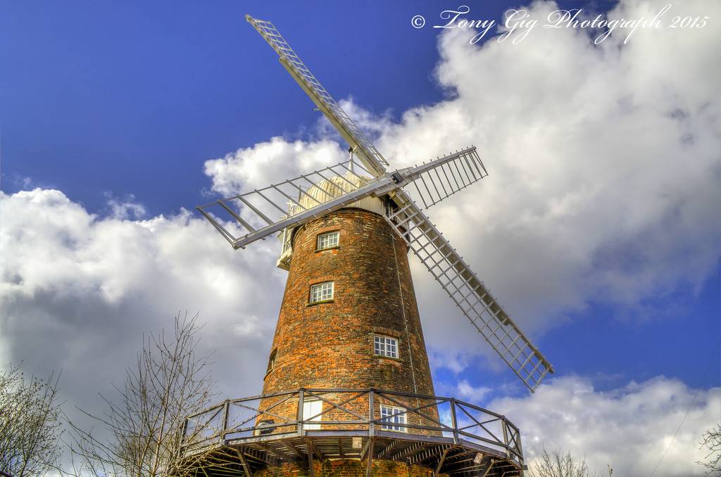 Windmill by tonygig