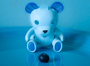 25th Mar 2015 - (Day 40) - Blue BEARY