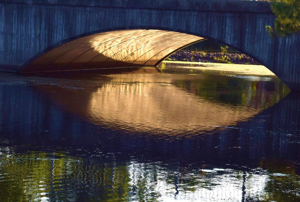 Late afternoon reflections under the bridge at the Duck pond. by happysnaps