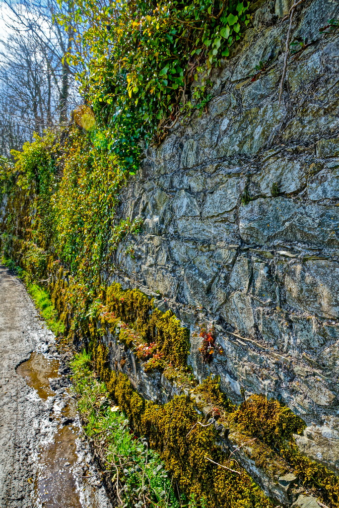 THE LONG AND WINDING WALL by markp
