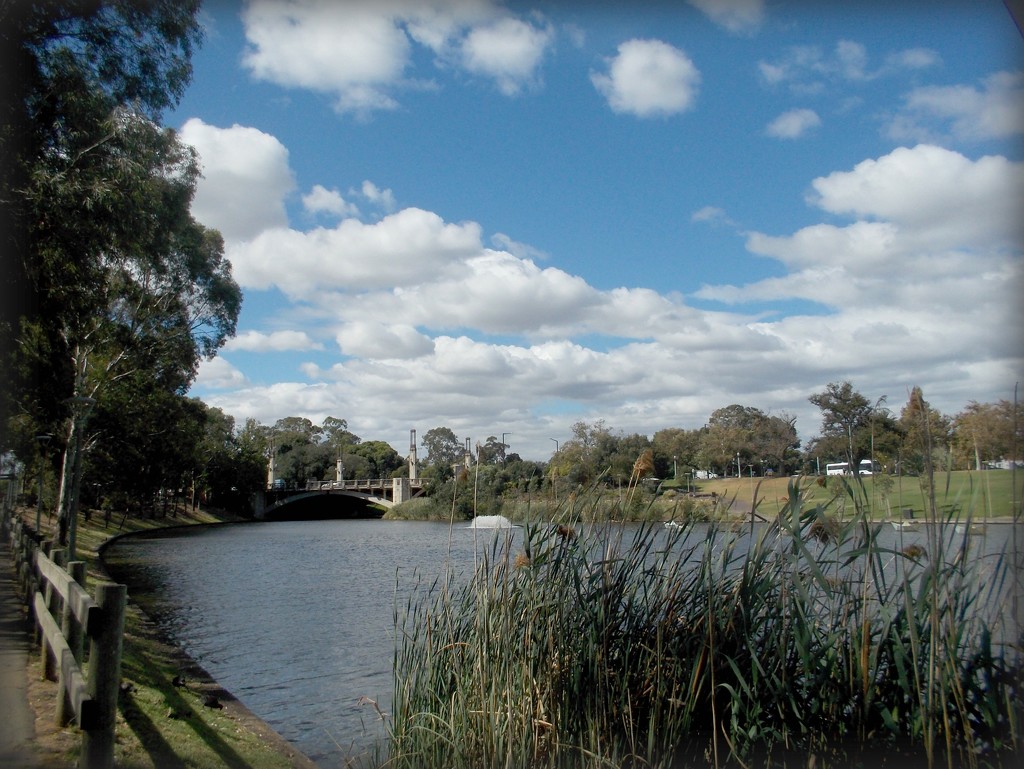 looking upstream by cruiser