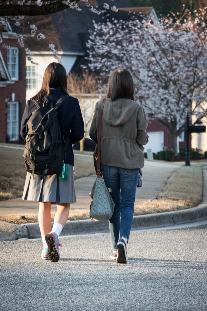 Going to School by darylo