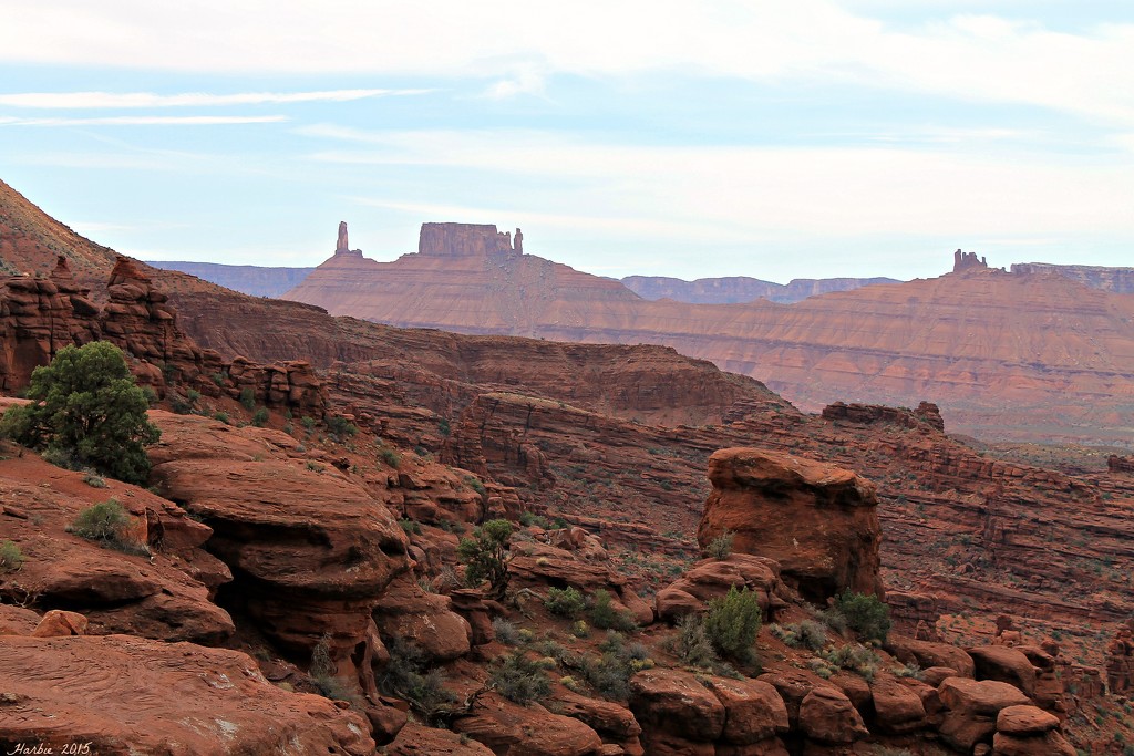 Vista from Fisher Towers Trail by harbie
