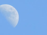27th Mar 2015 - Moon in blue sky