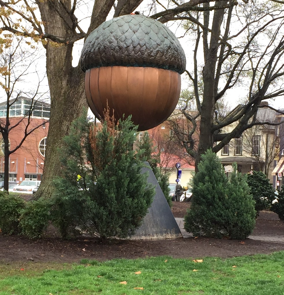 GIANT acorn, Moore Park downtown Raleigh by mvogel