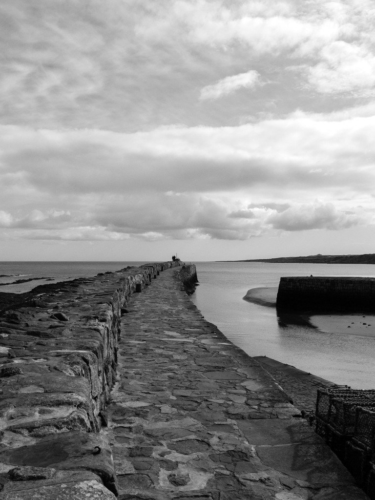 St Andrews harbour by frequentframes