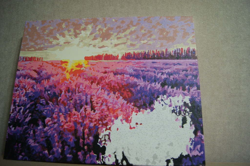 lavender field by inspirare