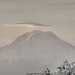 Mt Rainier by byrdlip