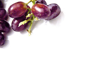 24th Mar 2015 - The Last Grapes