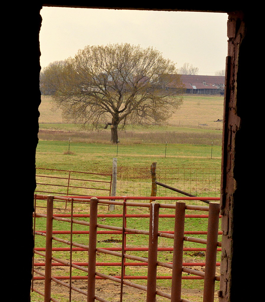Through the Barn Door by kareenking