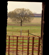 27th Mar 2015 - Through the Barn Door
