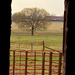 Through the Barn Door by kareenking