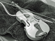 27th Mar 2015 - Violin and bow