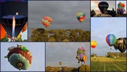 28th Mar 2015 - Balloons Over Waikato