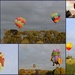 Balloons Over Waikato by nickspicsnz