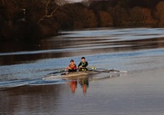 27th Mar 2015 - Rowing on the Trent