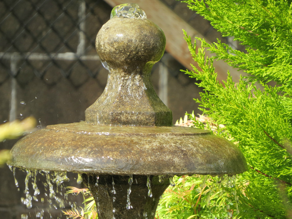 Garden Fountain by seattlite
