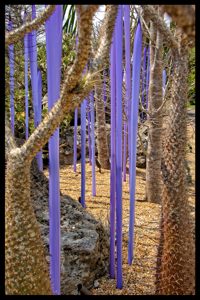 Neodymium Reeds by Dale Chihuli by danette