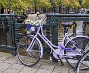 28th Mar 2015 - 082 - Lilac Bike