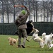 filler - the dogs walker  by parisouailleurs