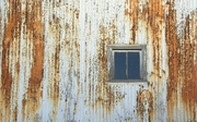 25th Mar 2015 - Painted Rust