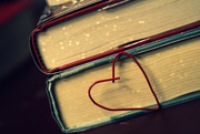 28th Mar 2015 - I Heart Books