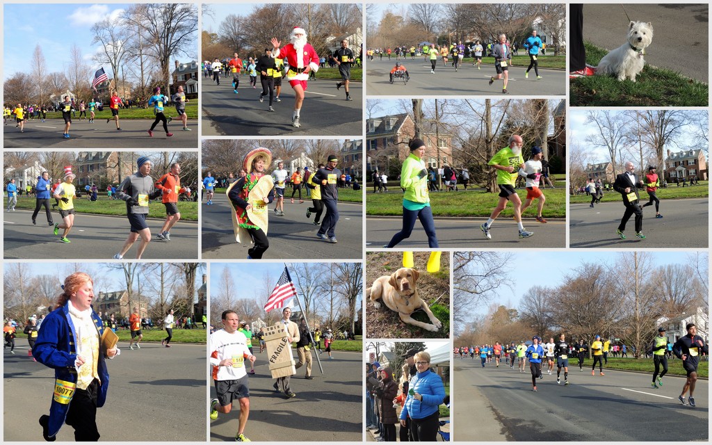 Monument Ave. 10K Race by allie912