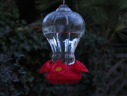 24th Mar 2015 - My new hummingbird feeder
