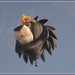 Simba the lion Balloon.. by julzmaioro