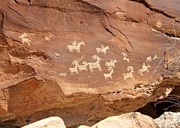 24th Mar 2015 - Ute Native American Petroglyphs