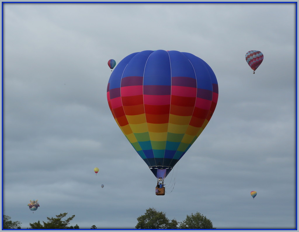 Balloons over Waikato by dide
