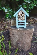 29th Mar 2015 - Bug Hotel - Now just need to guests!