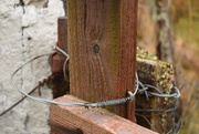 29th Mar 2015 - wire and wood