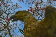 29th Mar 2015 - Stone eagle, Waterlow Park