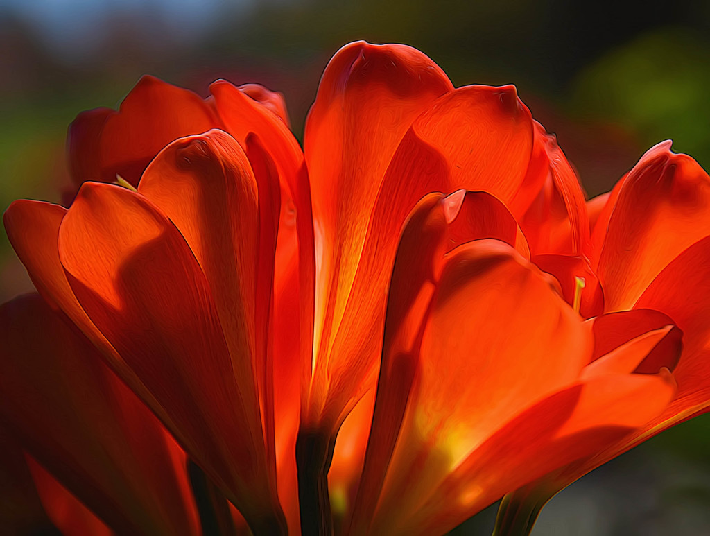 Orange Flowers  by joysfocus