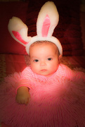 27th Mar 2015 - Bunny