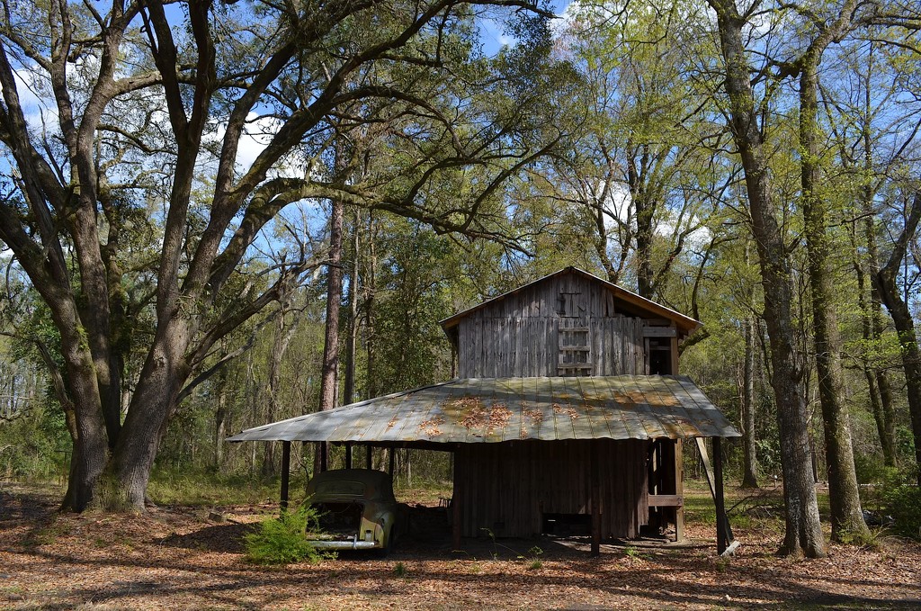 A favorite old barn on the road out of Ridgeville, CC by congaree