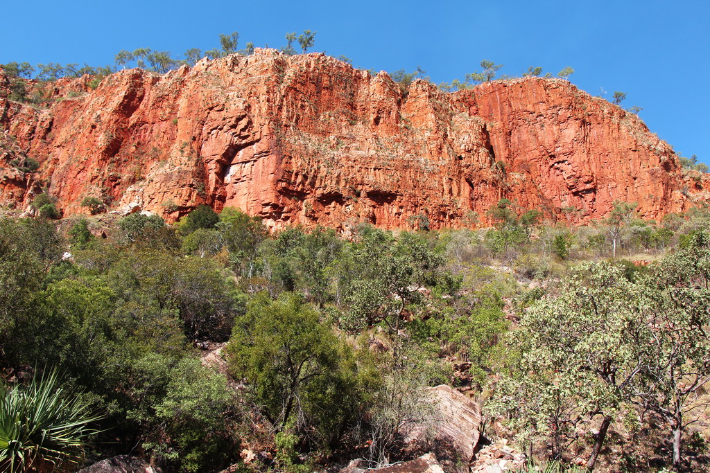 Day 10 - Emma Gorge 1 by terryliv