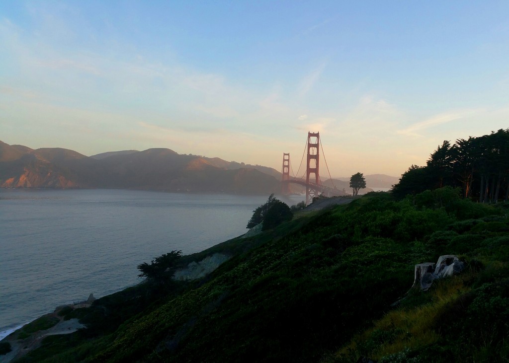 Good Morning San Francisco by mariaostrowski